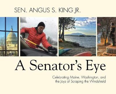 Book cover for A Senator's Eye