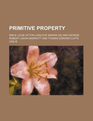 Book cover for Primitive Property