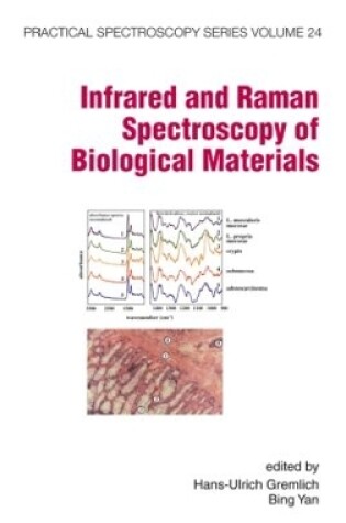 Cover of Infrared and Raman Spectroscopy of Biological Materials