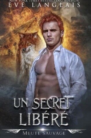 Cover of Un Secret Lib�r�