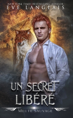 Book cover for Un Secret Lib�r�