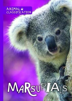 Cover of Marsupials