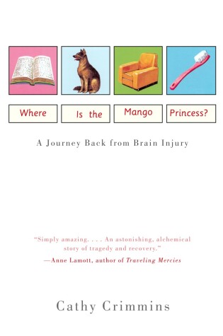 Cover of Where Is the Mango Princess?