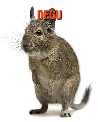 Book cover for Degu