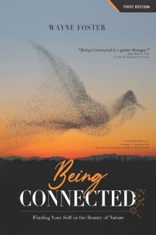 Cover of Being Connected