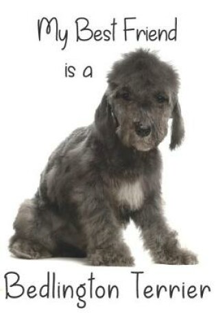 Cover of My best Friend is a Bedlington Terrier (Squared Paper)