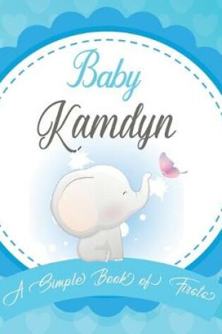 Cover of Baby Kamdyn A Simple Book of Firsts