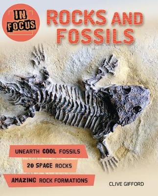 Book cover for In Focus: Rocks and Fossils
