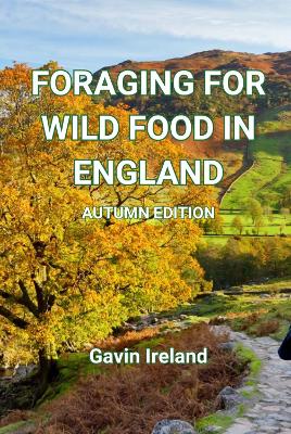 Book cover for Foraging for Wild Food in England - Autumn edition