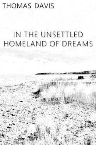 Cover of In the Unsettled Homeland of Dreams