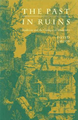 Cover of The Past in Ruins