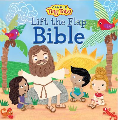 Book cover for Lift the Flap Bible