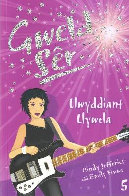 Book cover for Cyfres Gweld Sêr: 5. Llwyddiant Llywela