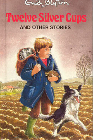 Cover of Twelve Silver Cups and Other Stories