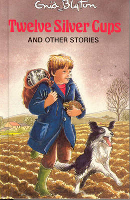 Book cover for Twelve Silver Cups and Other Stories