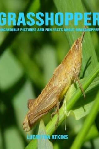 Cover of Grasshopper