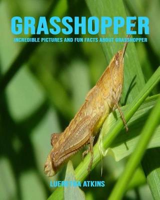 Book cover for Grasshopper