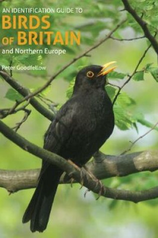 Cover of An Identification Guide to Birds of Britain and Northern Europe (2nd edition)