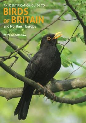 Book cover for An Identification Guide to Birds of Britain and Northern Europe (2nd edition)