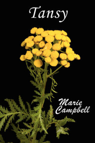 Cover of Tansy