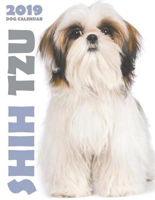 Book cover for Shih Tzu 2019 Dog Calendar