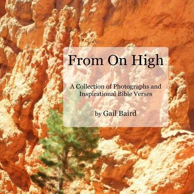 Book cover for From on High