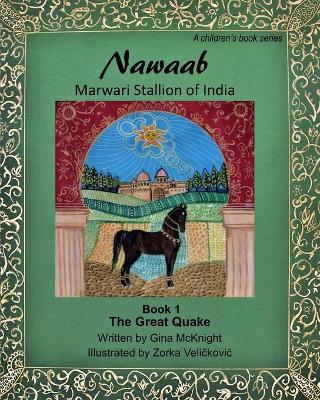 Book cover for Nawaab