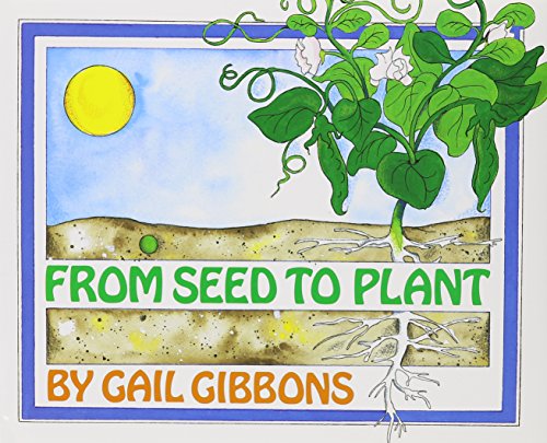 Book cover for From Seed to Plant (1 Paperback/1 CD)