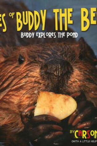 Cover of The Adventures of Buddy the Beaver: Buddy Explores the Pond