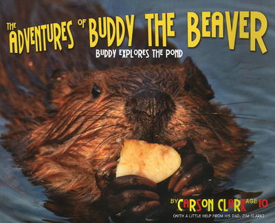 Book cover for The Adventures of Buddy the Beaver: Buddy Explores the Pond