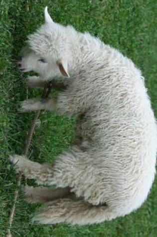 Cover of Cotswold Sheep Lamb in a Field