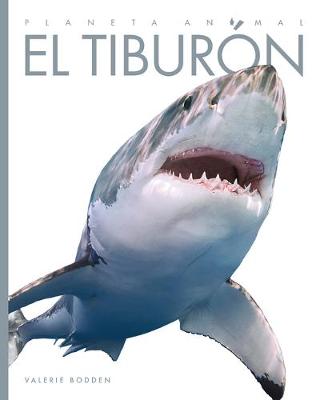 Cover of El Tiburón