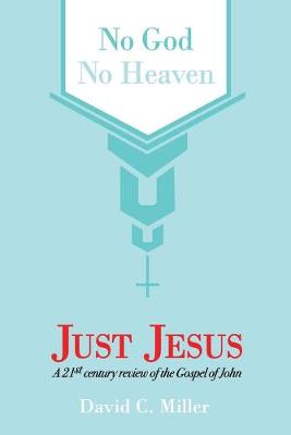 Book cover for No God, No Heaven, Just Jesus