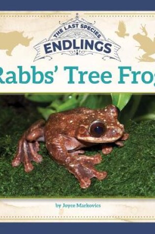 Cover of Rabbs' Tree Frog