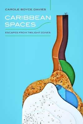 Cover of Caribbean Spaces