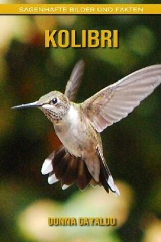 Cover of Kolibri