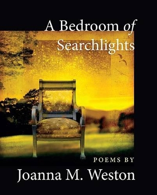 Book cover for A Bedroom of Searchlights