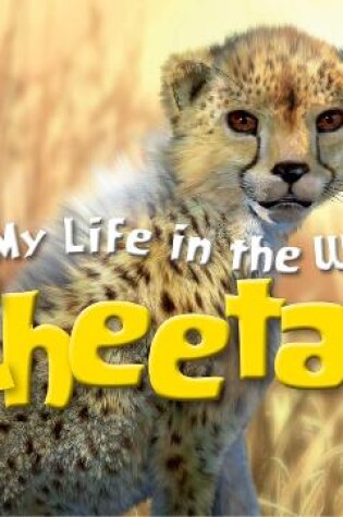 Cover of Animal Planet My Life in the Wild: Cheetah