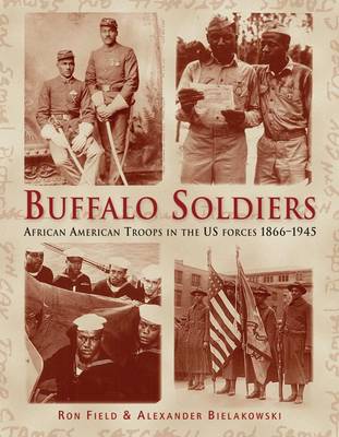 Book cover for Buffalo Soldiers