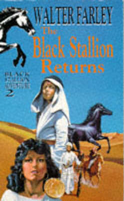 Book cover for The Black Stallion Returns