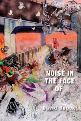 Book cover for Noise in the Face of