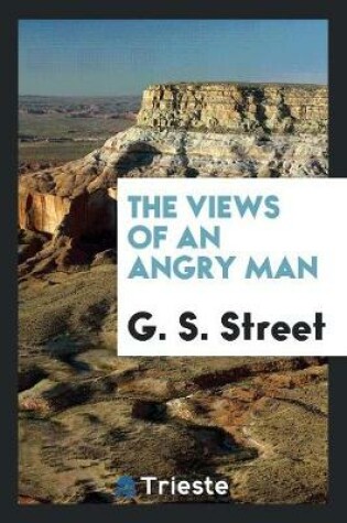 Cover of The Views of an Angry Man