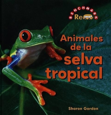 Cover of Animales de la Selva Tropical (Rain Forest Animals)