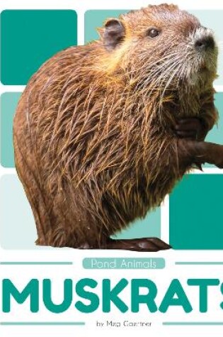 Cover of Pond Animals: Muskrats