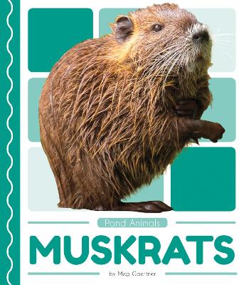 Book cover for Muskrats