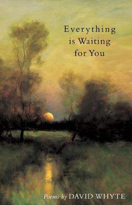 Book cover for Everything Is Waiting for You