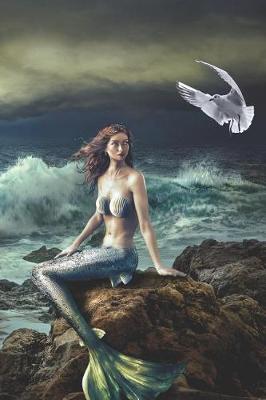 Book cover for Mermaid on the Rocks Diary