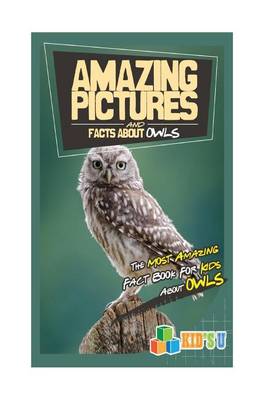 Book cover for Amazing Pictures and Facts about Owls