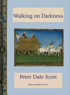 Book cover for Walking on Darkness