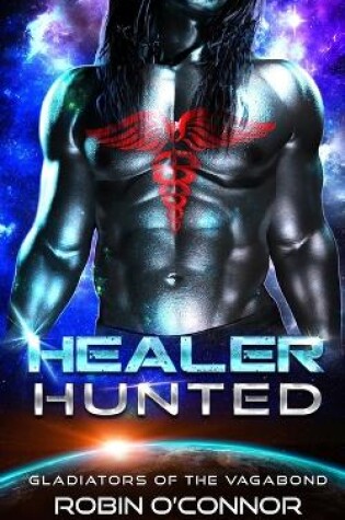 Cover of Healer Hunted